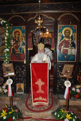 sisveti2015 2