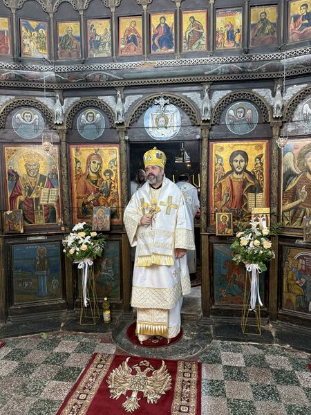 mislesevo25 6
