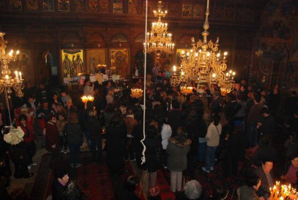 cvet2012 16