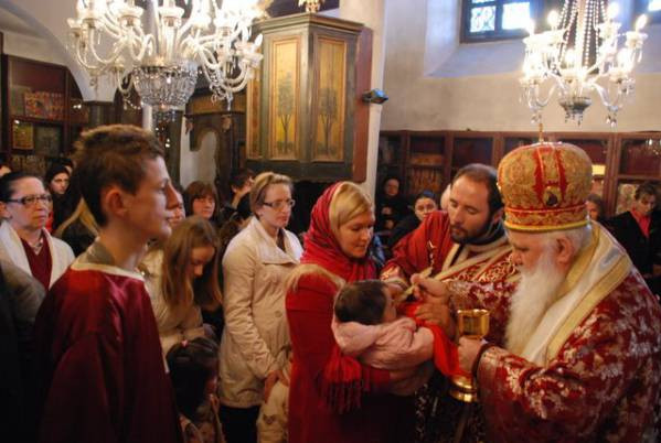 prvned2012 2