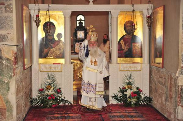 svklimzim2011 10