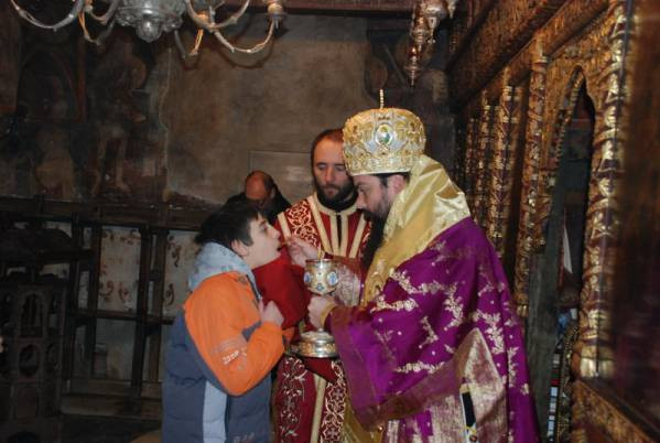 svnek2012 16