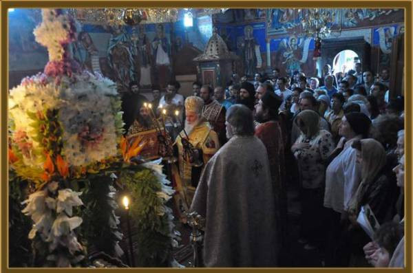 svvmgeor2012 4