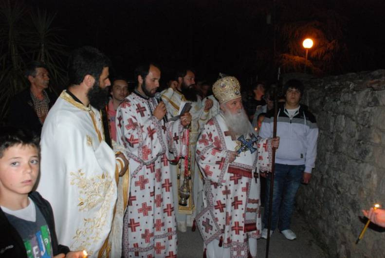VELPETVEC2013 11