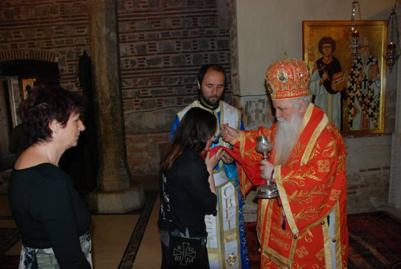 velcetut2013 10