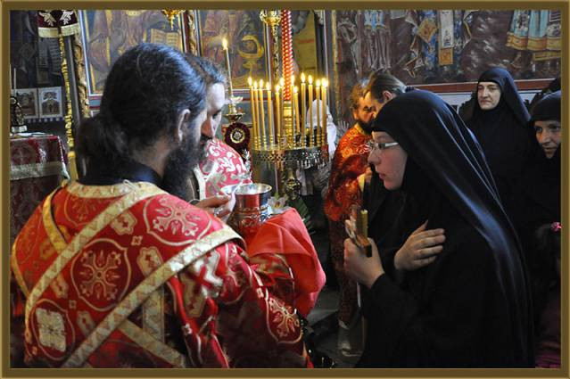 gjurgj2015 14