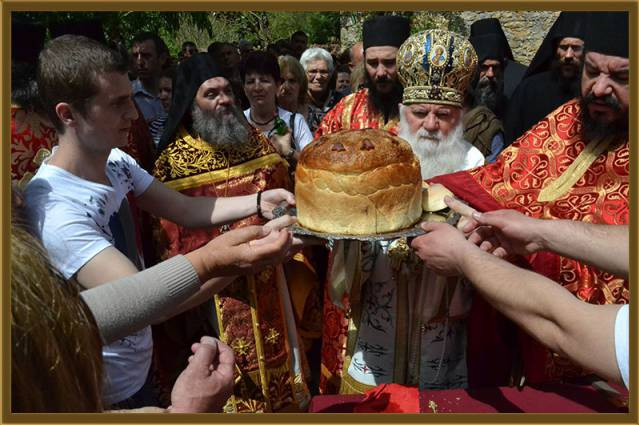 gjurgj2015 19