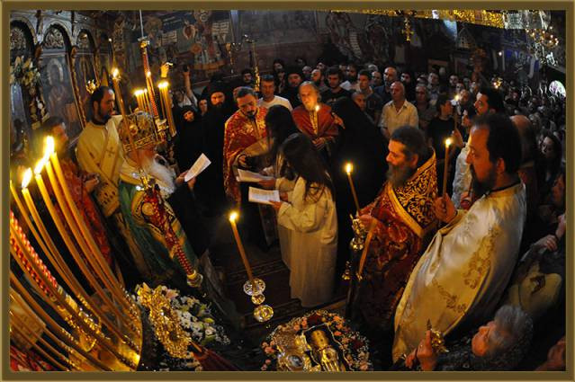 gjurgj2015vec 11