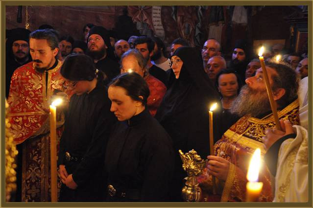 gjurgj2015vec 16