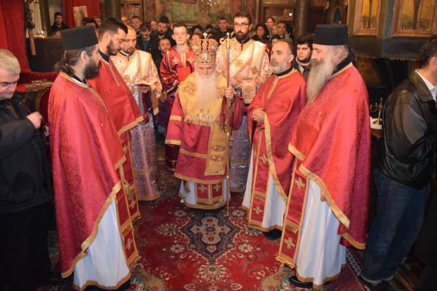 svnikola2015 1