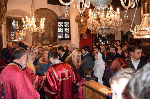 svnikola2015 10