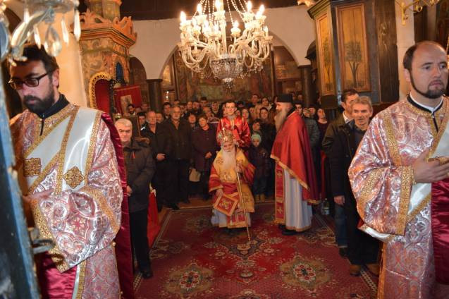 svnikola2015 2