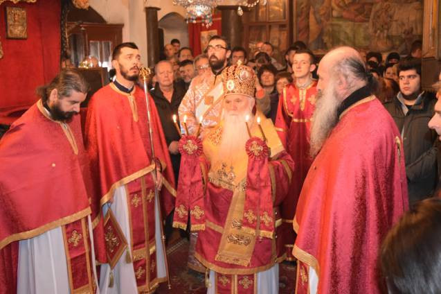 svnikola2015 3