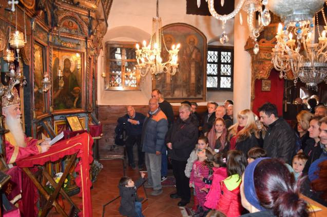 svnikola2015 7