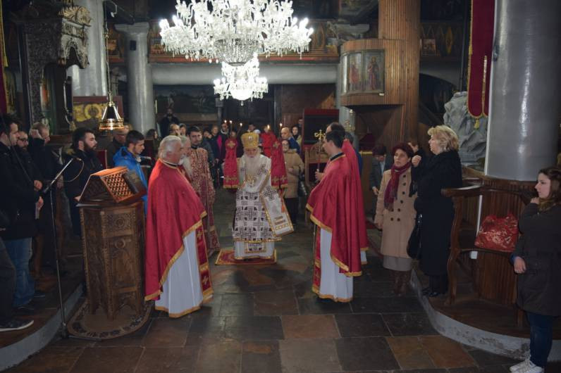 svstefzim2016