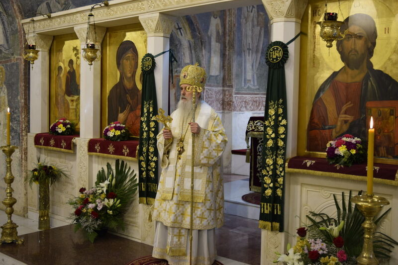 svsofija24 35