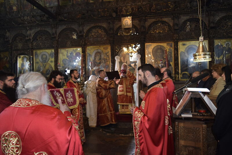 eordija 25 7
