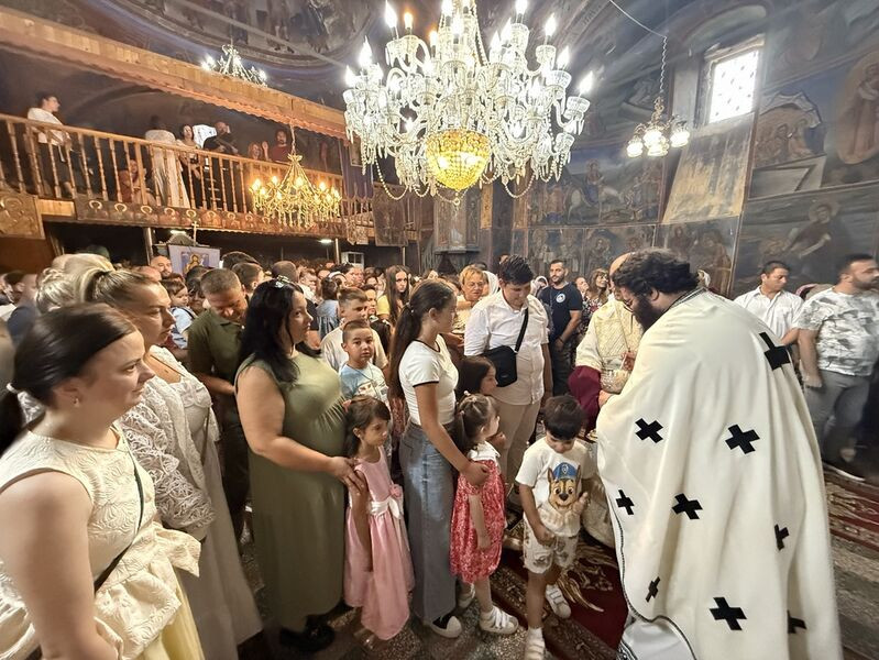 mislesevo25 8