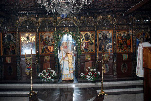 светпет2011