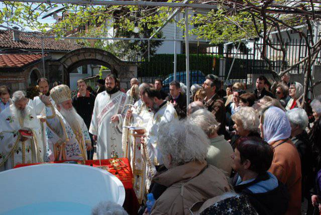 светпет2011 8